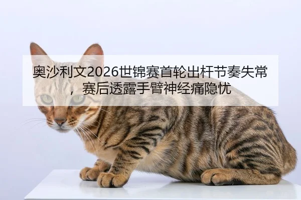 奥沙利文2026世锦赛首轮出杆节奏失常，赛后透露手臂神经痛隐忧